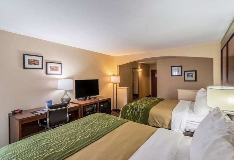 スイート, Comfort Inn & Suites Panama City North