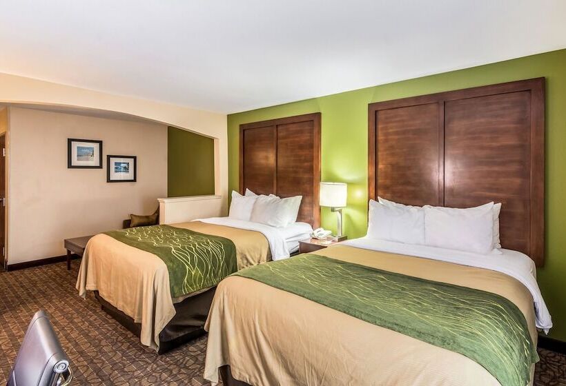套房, Comfort Inn & Suites Panama City North