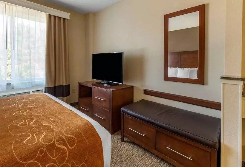 سوییت, Comfort Suites Raleigh Walnut Creek