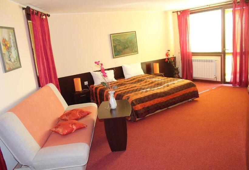 إستوديو قياسى, Family Hotel Elena