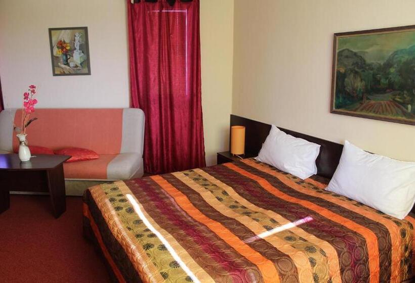 إستوديو قياسى, Family Hotel Elena