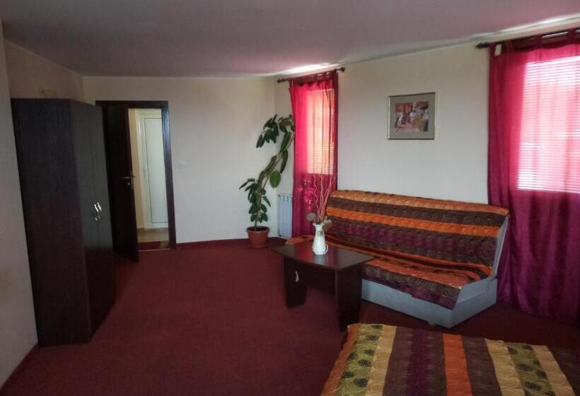 إستوديو قياسى, Family Hotel Elena