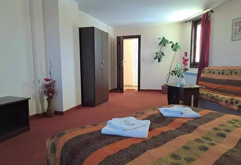 استودیوی استاندارد, Family Hotel Elena