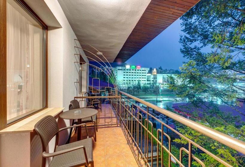 싱글 디럭스 룸, Spa Hotel Kiparis