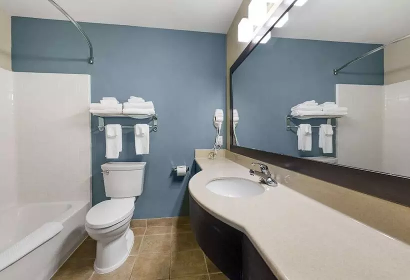 اتاق استاندارد با 2 تخت دوبل, Sleep Inn & Suites Hays I70