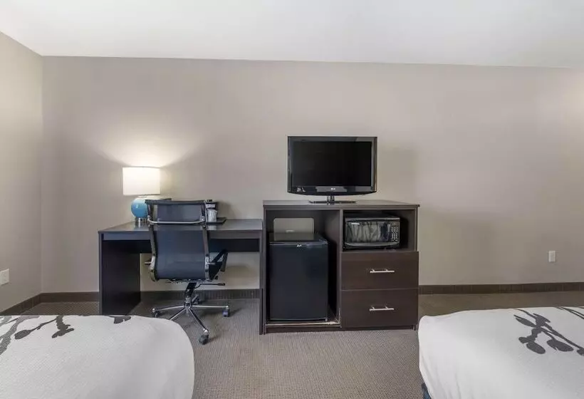 اتاق استاندارد با 2 تخت دوبل, Sleep Inn & Suites Hays I70