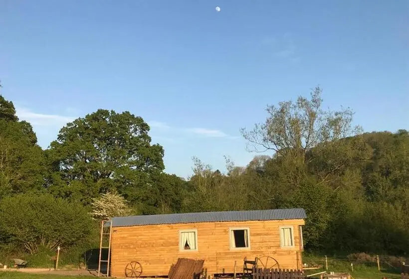 エコノミールーム, Shepherds Huts Ham Hill, 2 Double Beds, Bathroom, Lounge, Diner, Kitchen, Love Dogs & Cats Looking O