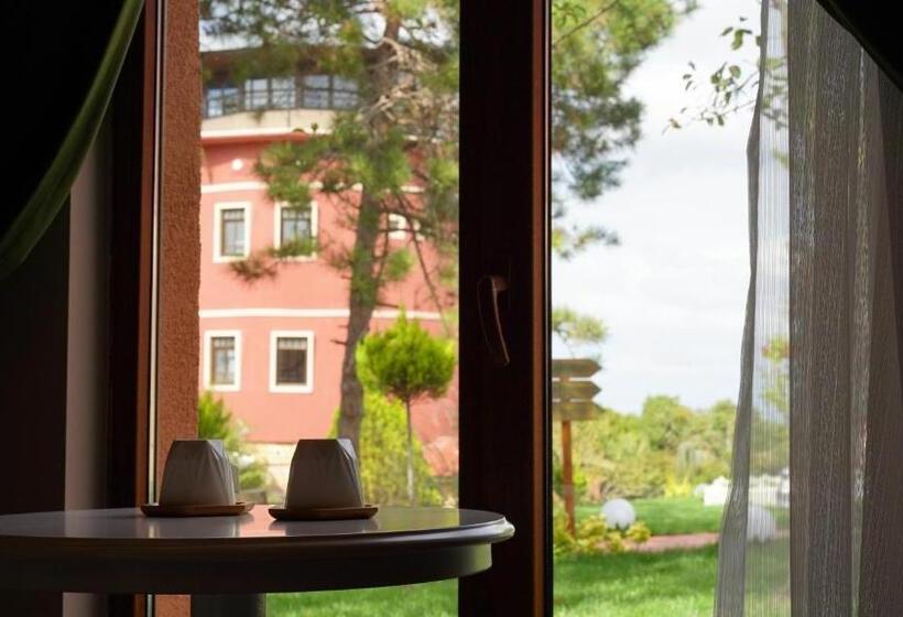 اتاق استاندارد با چشمانداز باغ, Kule Hotel Airport Istanbul