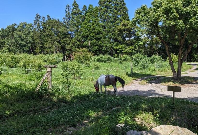 Négyágyas Standard Szoba, えころっじkitsuki