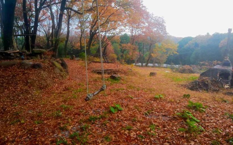 Standard Szoba Megosztott Fürdővel, えころっじkitsuki