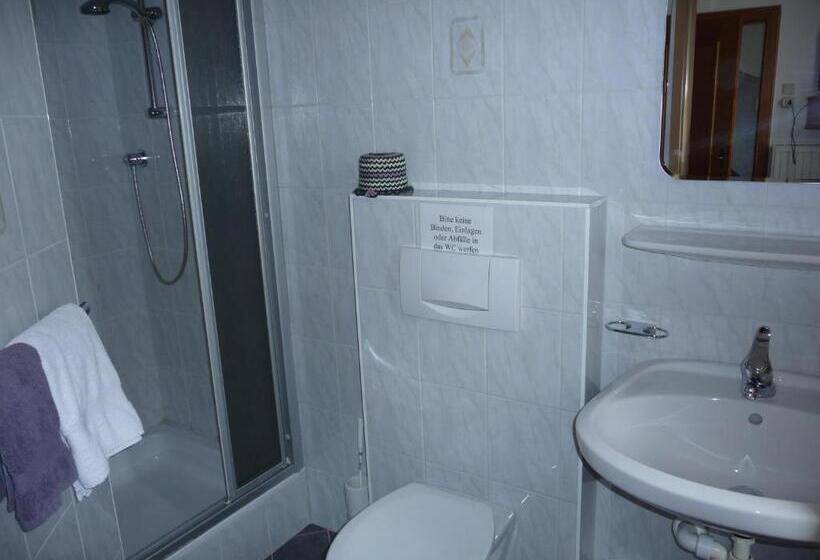 غرفة قياسية فردية, Gasthof Waldhof