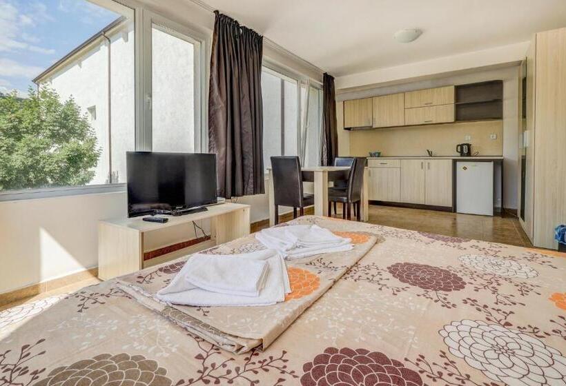 带观景的标准工作室, Saint George Hotel 1