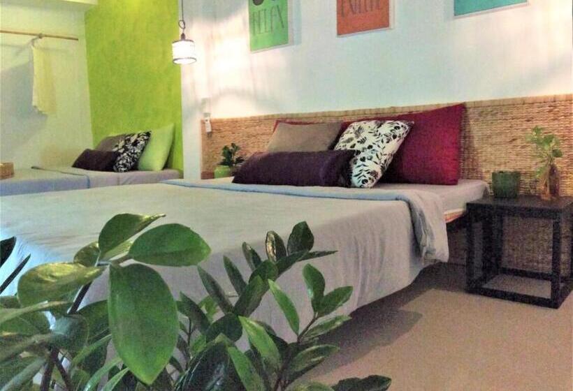 اتاق استاندارد چهار تخته, Domino Homestay