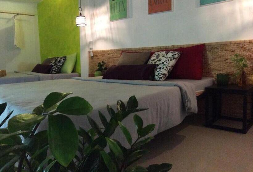 اتاق لوکس چهار تخته, Domino Homestay