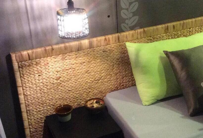 استودیوی استاندارد, Domino Homestay