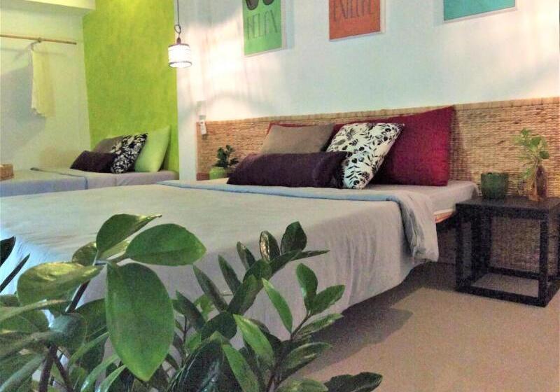 اتاق استاندارد چهار تخته, Domino Homestay