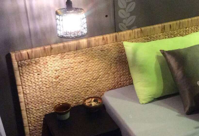 استودیوی استاندارد, Domino Homestay