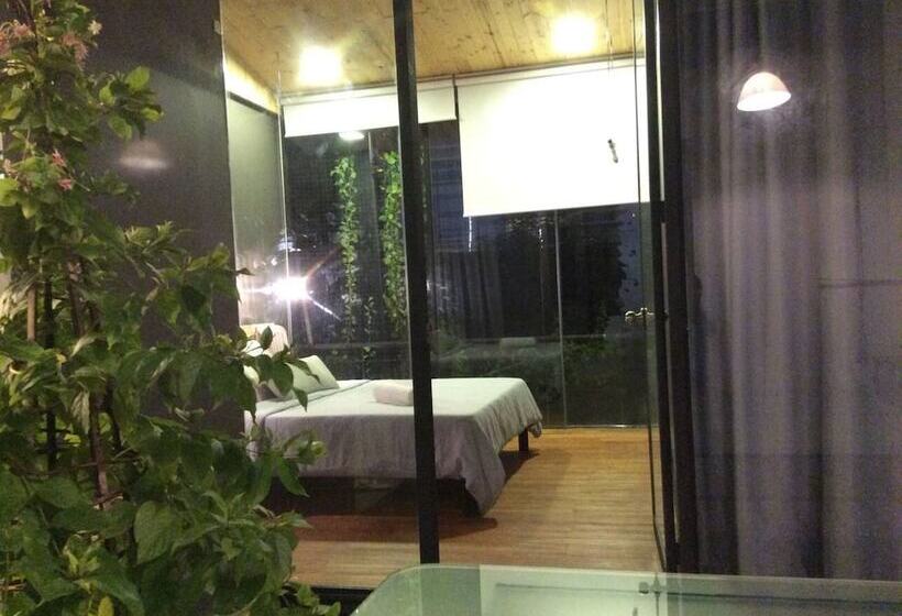 استودیوی استاندارد, Domino Homestay