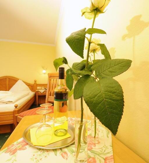 غرفة قياسية, Aparthotel Kristall