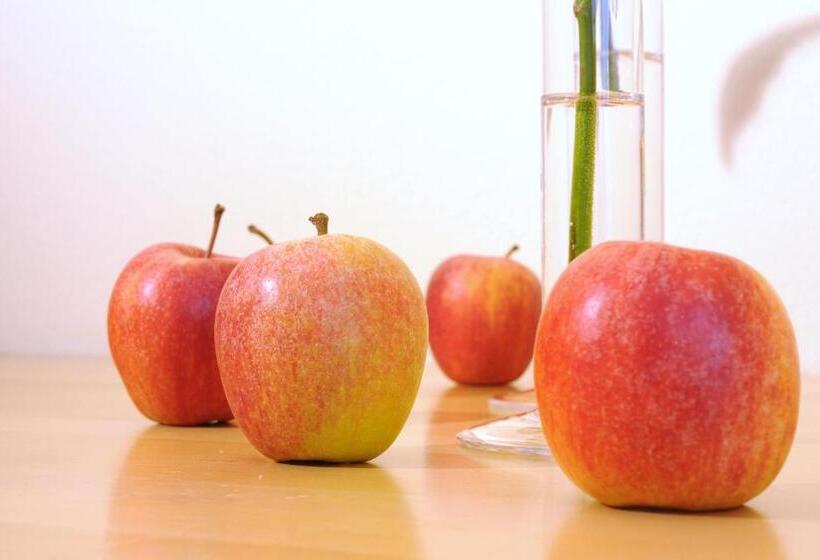 شقة غرفة واحدة, Aparthotel Kristall