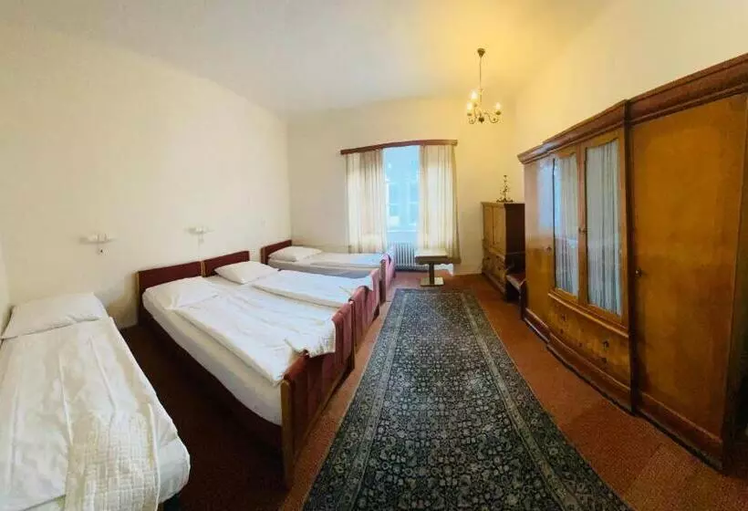 اتاق استاندارد چهارنفره با سرویس بهداشتی مشترک, Ea Hotel Hrubá Skála