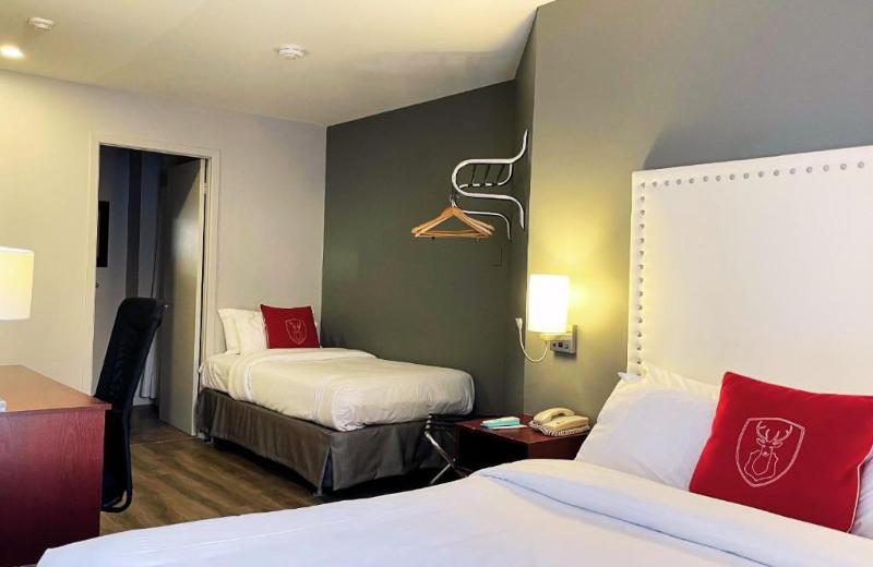 اتاق استاندارد, Du Nord