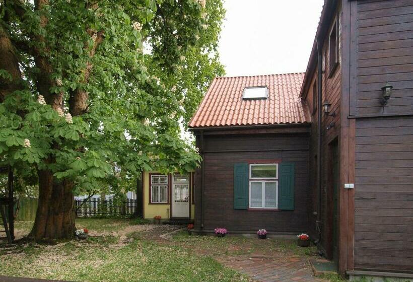 اتاق خانوادگی, Ezera Maja