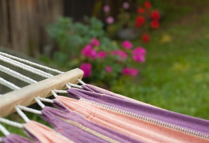 آپارتمان 3 خوابه, Ezera Maja