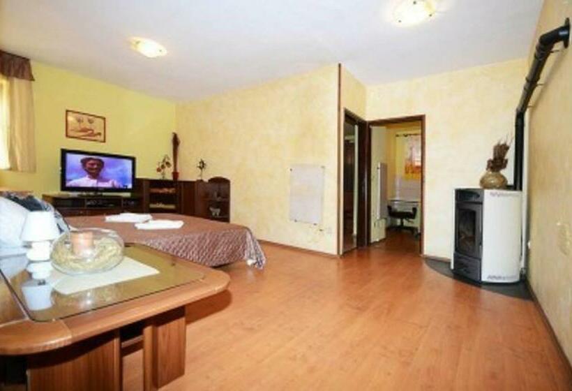 Апартаменты 1 Спальня с Террасой, Apartments And Rooms With Parking Space Porec   6917