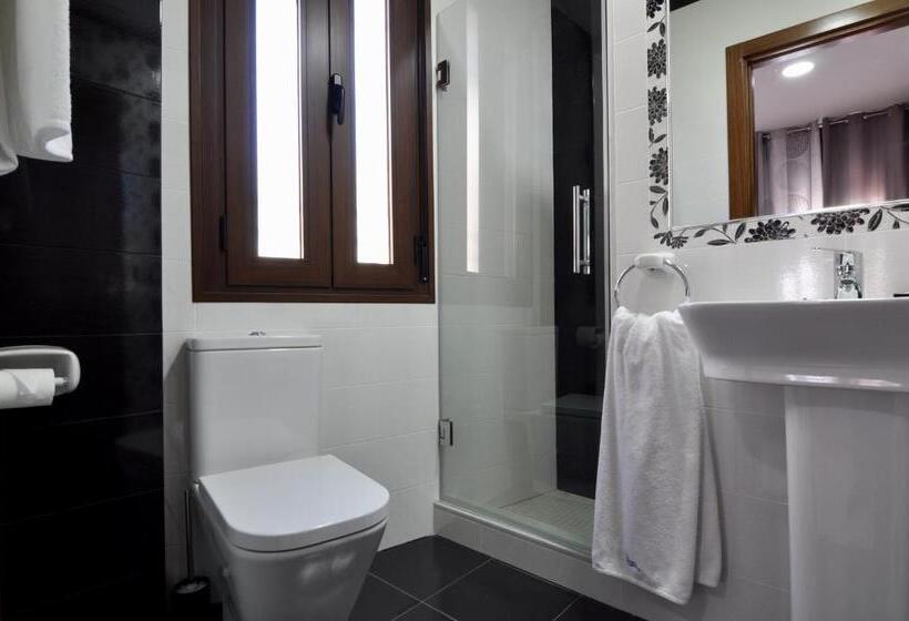 اتاق استاندارد, Hostal Almanzor