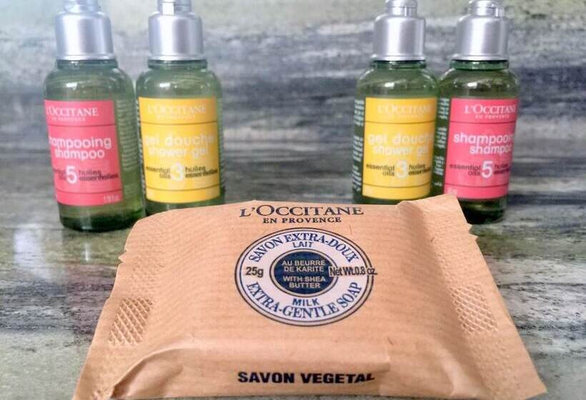 اتاق استاندارد سه نفره, Boutique Hotel De La Place Des Vosges