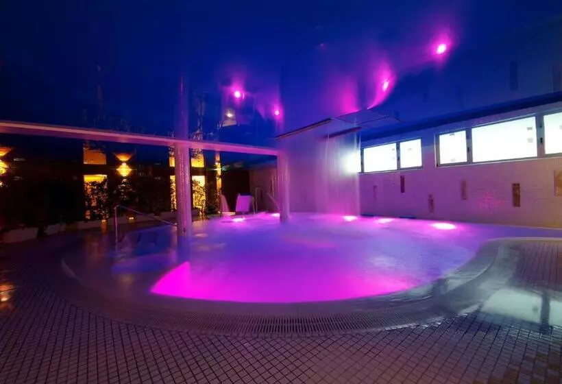 اتاق استاندارد با دسترسی به اسپا, Felisa Spa