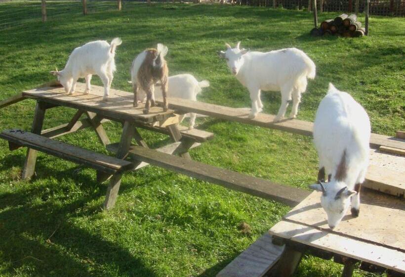 غرفة عائلية, Hunters Lodge Inn