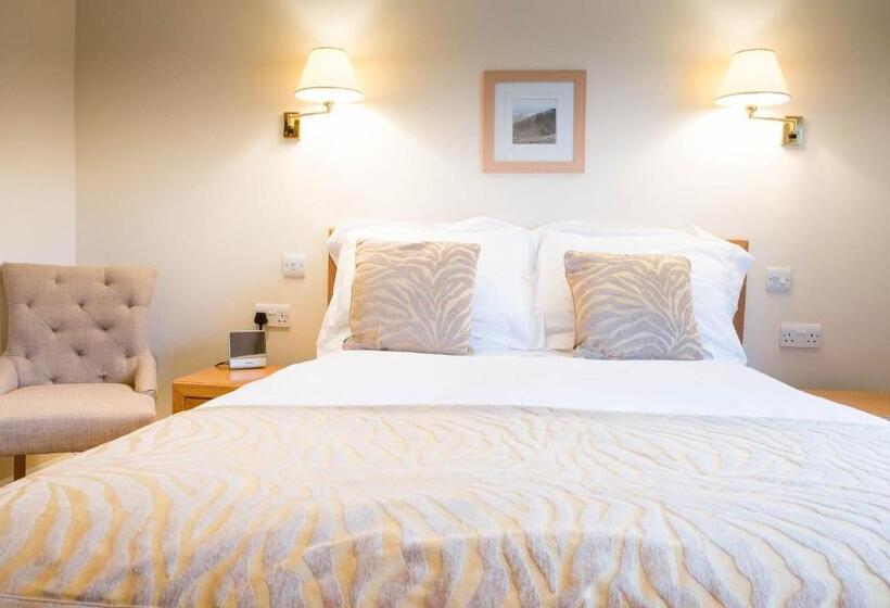 Номер Executive, Llwyn Onn Guest House