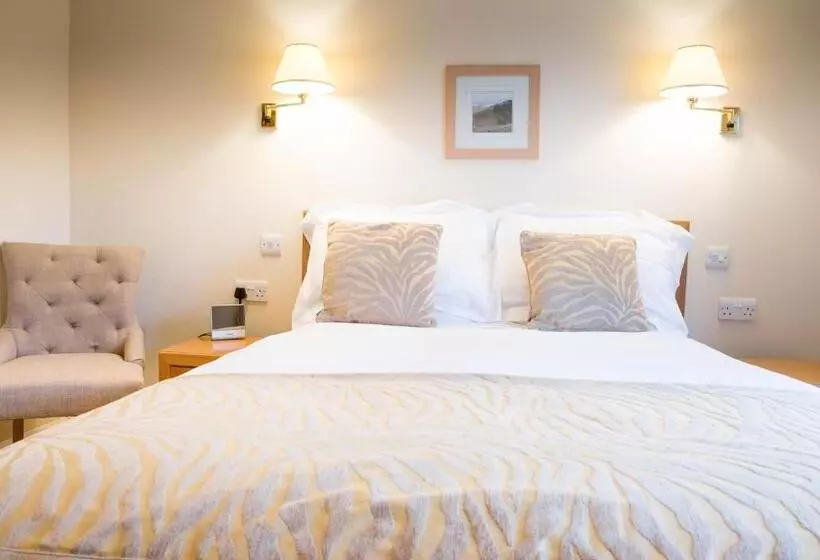 エクゼクティブルーム, Llwyn Onn Guest House