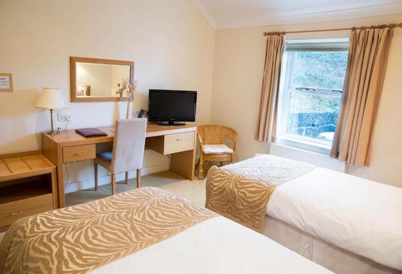 이그제큐티브 룸, Llwyn Onn Guest House