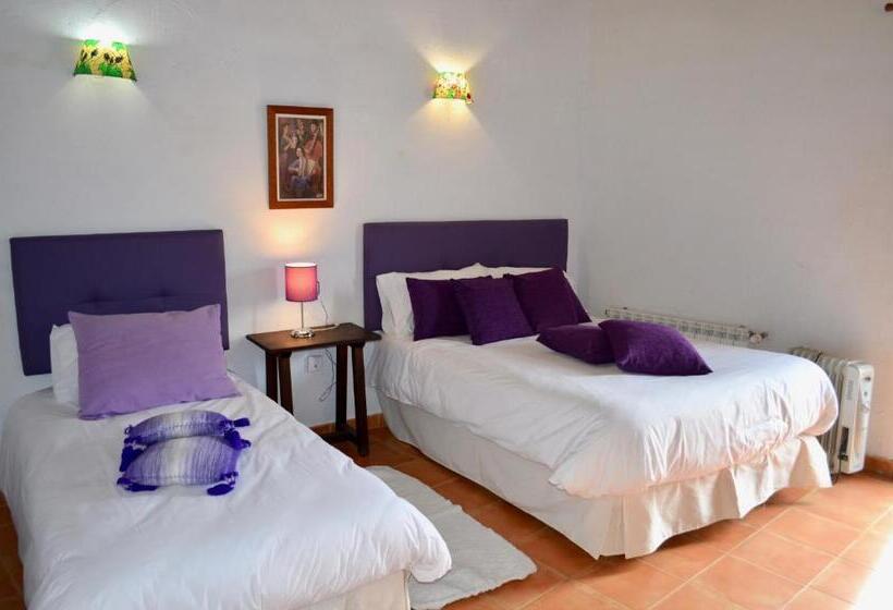 חדר סופריור, Restaurante Bandolero