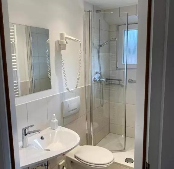 スタンダードルーム, Wellnesshotel Rothfuß Mit Spa Und 2 Schwimmbädern