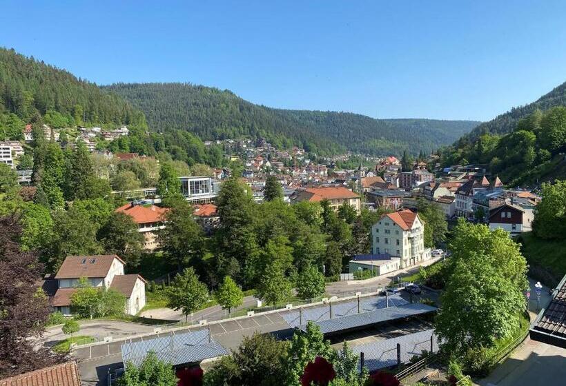 Полулюкс Вид на Горы, Wellnesshotel Rothfuß Mit Spa Und 2 Schwimmbädern