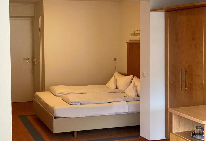 Полулюкс Вид на Горы, Wellnesshotel Rothfuß Mit Spa Und 2 Schwimmbädern