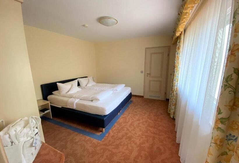 Полулюкс, Wellnesshotel Rothfuß Mit Spa Und 2 Schwimmbädern