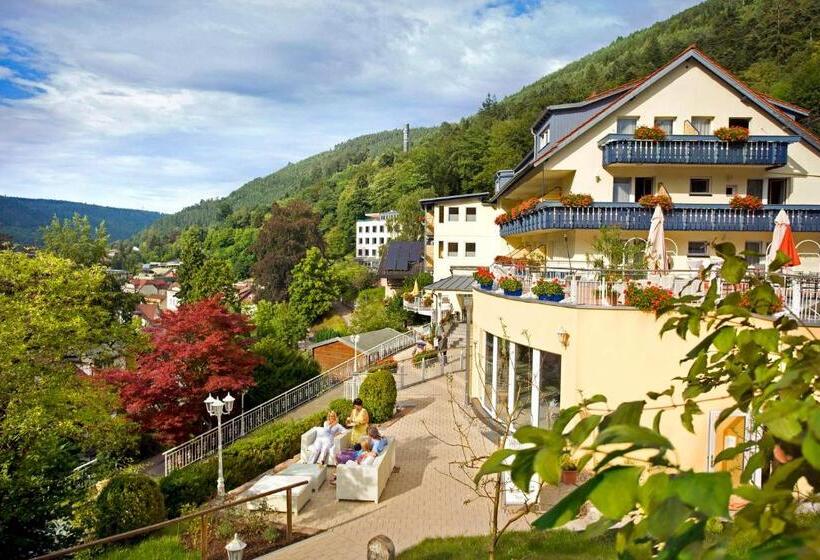 Номер Deluxe с Балконом, Wellnesshotel Rothfuß Mit Spa Und 2 Schwimmbädern