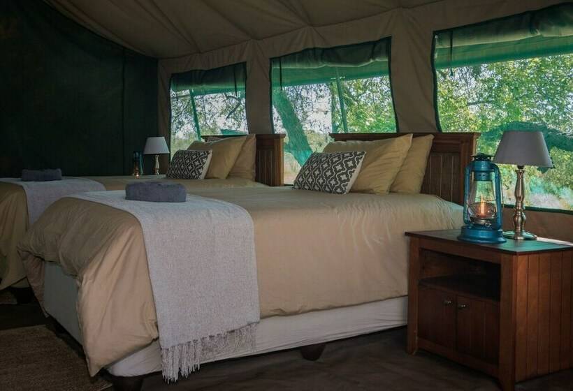 چادر با خدمات رفاهی لوکس, Nkwe Safari Lodge