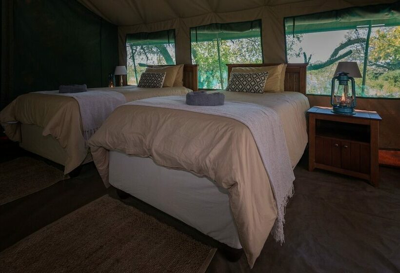 چادر با خدمات رفاهی لوکس, Nkwe Safari Lodge