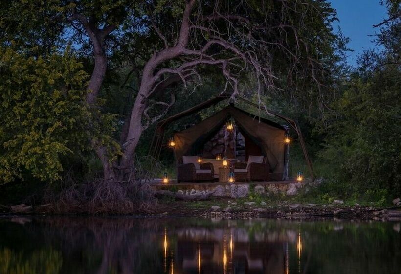 چادر با خدمات رفاهی لوکس, Nkwe Safari Lodge