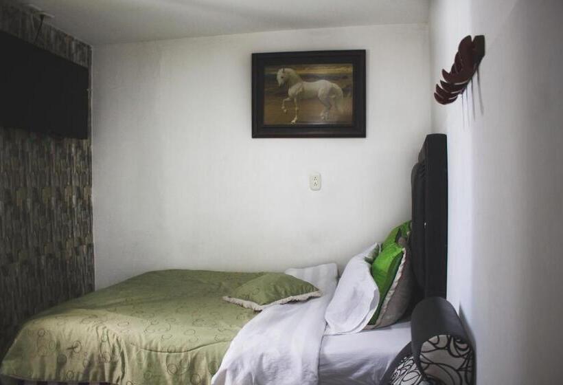 이코노미 룸, Punto 100