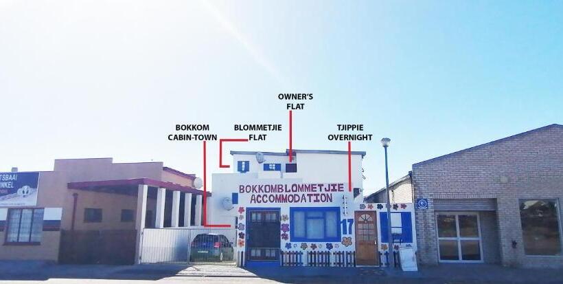 经济房, Bokkomblommetjie