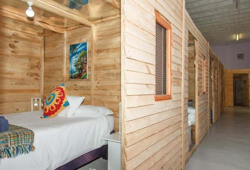 1间卧室的房子, Bokkomblommetjie