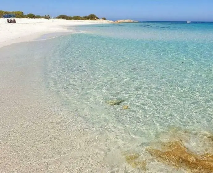 スタンダードルーム, Agriturismo B&b Mares E Montes De Marrante