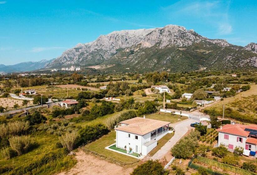 חדר סטנדרט, Agriturismo B&b Mares E Montes De Marrante